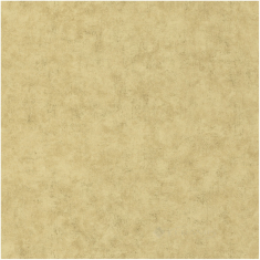 шпалери Caselio Beton (BET101487893)